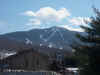 vermont0021.jpg (43328 bytes)